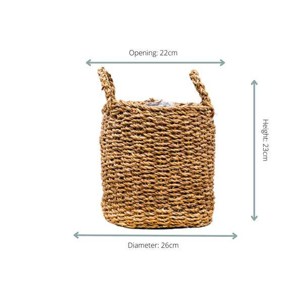 Willow Boy – 26cm x 23cm – Stylish Planter for Indoor Plants – Plant Basket for Living Room, Balcony & Garden