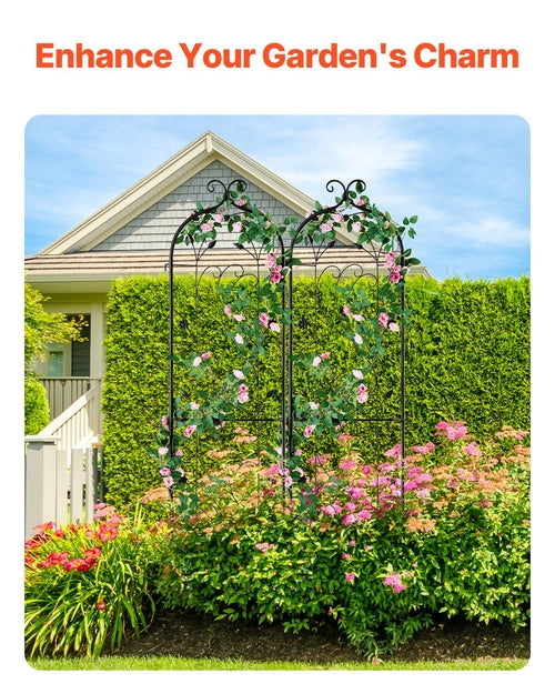Garden Trellis for Climbing Plants, 60 x 15 in, 2 Packs Rustproof