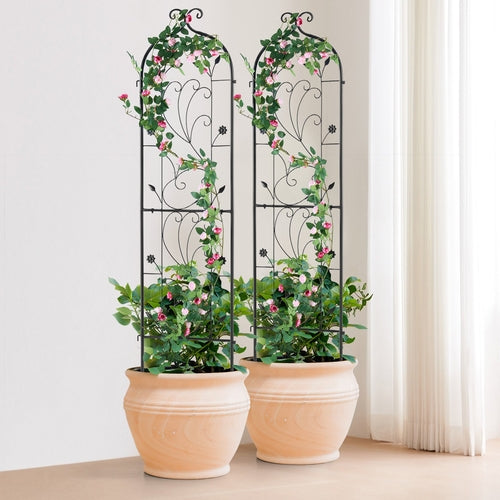 Garden Trellis for Climbing Plants, 60 x 15 in, 2 Packs Rustproof